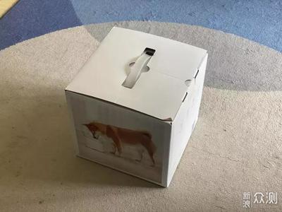 宠物智能饮水器受宠，流动水吸引宠物多喝水
