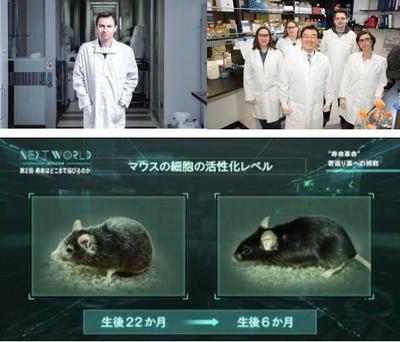 一位科学家曾致力于研究某课题