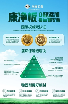 环保家居材料走俏，消费者环保意识助推行业绿色转型