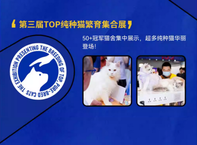 宠物美容师大赛举办，展示精湛技艺与创新造型