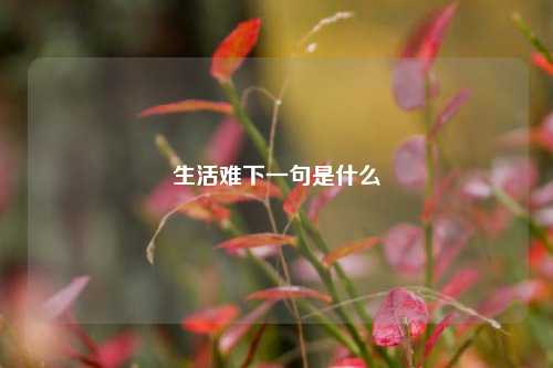 生活难下一句是什么