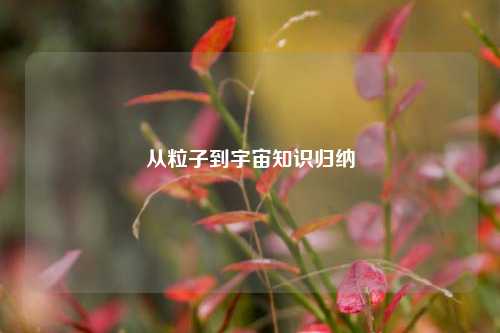 从粒子到宇宙知识归纳
