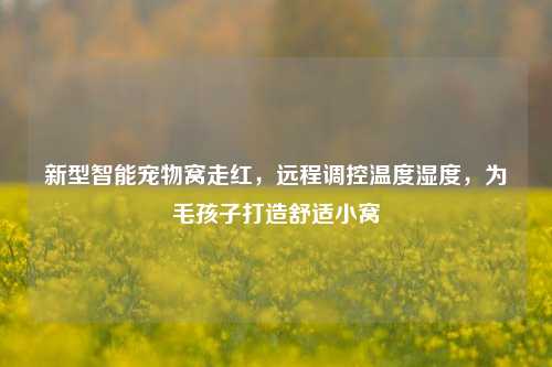 新型智能宠物窝走红，远程调控温度湿度，为毛孩子打造舒适小窝
