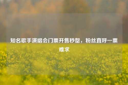 知名歌手演唱会门票开售秒罄，粉丝直呼一票难求