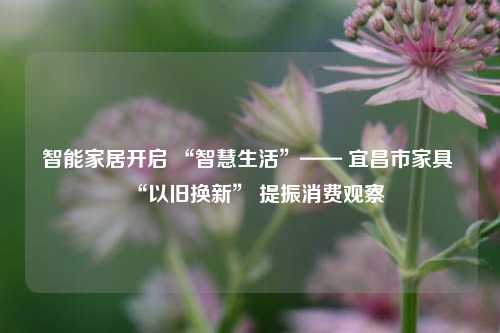 智能家居开启 “智慧生活”—— 宜昌市家具 “以旧换新” 提振消费观察
