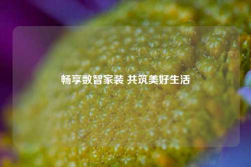 畅享数智家装 共筑美好生活