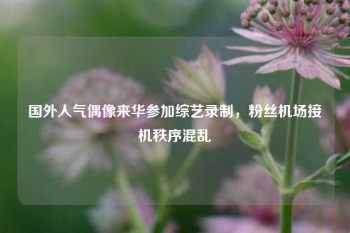 国外人气偶像来华参加综艺录制，粉丝机场接机秩序混乱