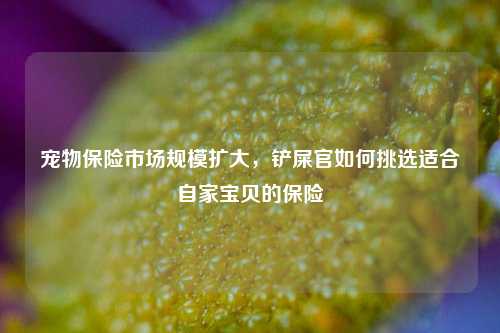 宠物保险市场规模扩大，铲屎官如何挑选适合自家宝贝的保险