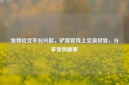 宠物社交平台兴起，铲屎官线上交流经验，分享宠物趣事