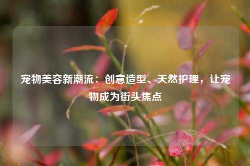 宠物美容新潮流：创意造型、天然护理，让宠物成为街头焦点