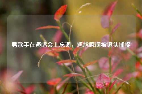 男歌手在演唱会上忘词，尴尬瞬间被镜头捕捉