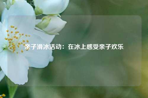 亲子滑冰活动：在冰上感受亲子欢乐
