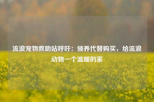 流浪宠物救助站呼吁：领养代替购买，给流浪动物一个温暖的家