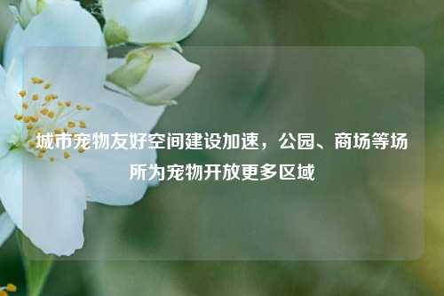 城市宠物友好空间建设加速，公园、商场等场所为宠物开放更多区域