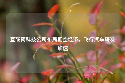 互联网科技公司布局低空经济，飞行汽车研发加速