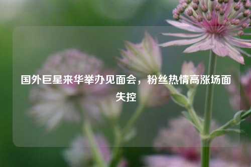 国外巨星来华举办见面会，粉丝热情高涨场面失控