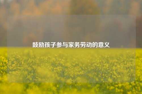 鼓励孩子参与家务劳动的意义