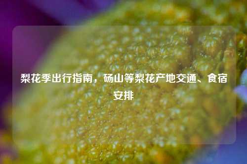 梨花季出行指南，砀山等梨花产地交通、食宿安排