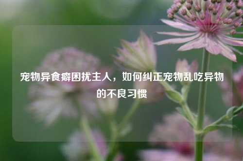 宠物异食癖困扰主人，如何纠正宠物乱吃异物的不良习惯