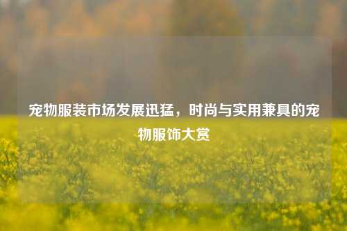 宠物服装市场发展迅猛，时尚与实用兼具的宠物服饰大赏