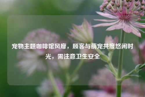 宠物主题咖啡馆风靡，顾客与萌宠共度悠闲时光，需注意卫生安全