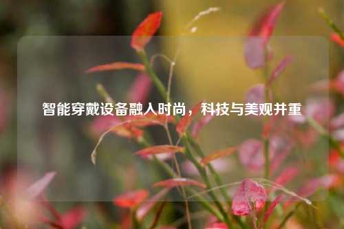 智能穿戴设备融入时尚，科技与美观并重