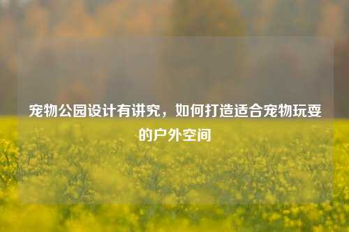 宠物公园设计有讲究，如何打造适合宠物玩耍的户外空间