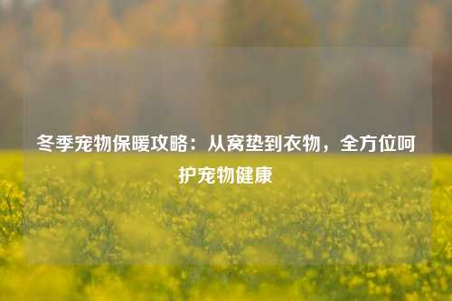 冬季宠物保暖攻略：从窝垫到衣物，全方位呵护宠物健康