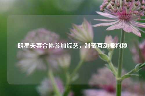 明星夫妻合体参加综艺，甜蜜互动撒狗粮