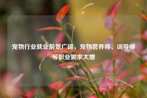 宠物行业就业前景广阔，宠物营养师、训导师等职业需求大增