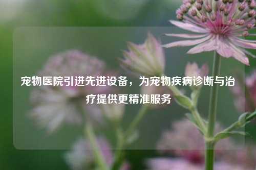 宠物医院引进先进设备，为宠物疾病诊断与治疗提供更精准服务