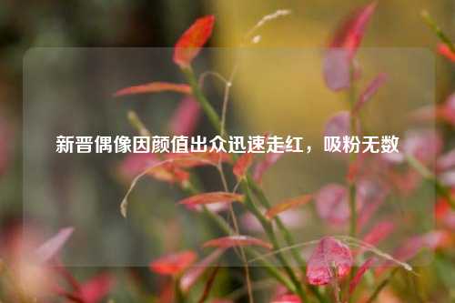 新晋偶像因颜值出众迅速走红，吸粉无数