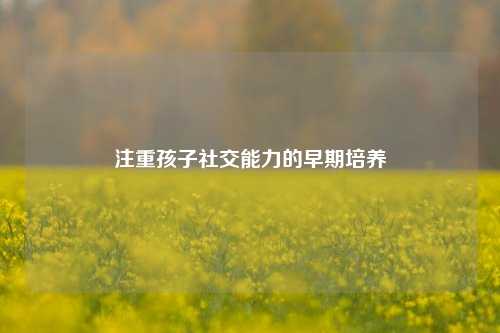 注重孩子社交能力的早期培养
