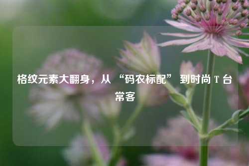 格纹元素大翻身，从 “码农标配” 到时尚 T 台常客