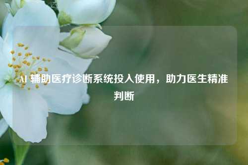 AI 辅助医疗诊断系统投入使用，助力医生精准判断