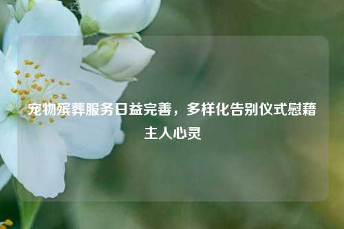 宠物殡葬服务日益完善，多样化告别仪式慰藉主人心灵