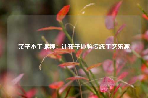 亲子木工课程：让孩子体验传统工艺乐趣