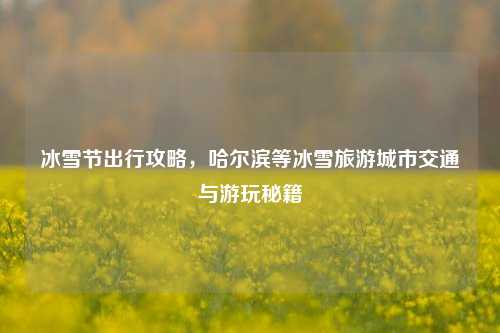 冰雪节出行攻略，哈尔滨等冰雪旅游城市交通与游玩秘籍