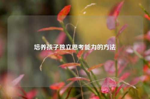 培养孩子独立思考能力的方法