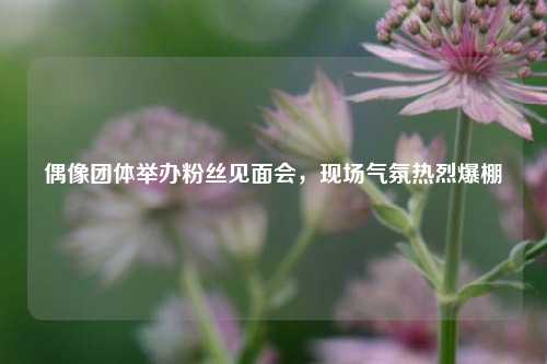 偶像团体举办粉丝见面会，现场气氛热烈爆棚