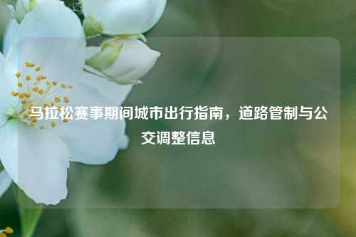 马拉松赛事期间城市出行指南，道路管制与公交调整信息