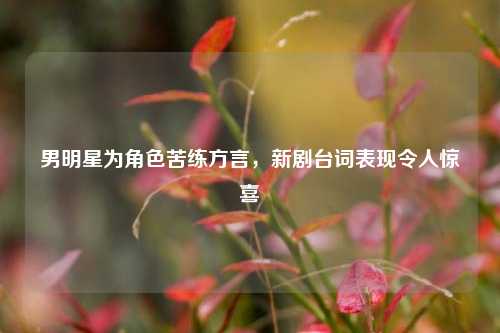 男明星为角色苦练方言，新剧台词表现令人惊喜