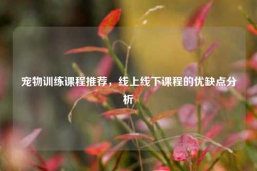 宠物训练课程推荐，线上线下课程的优缺点分析